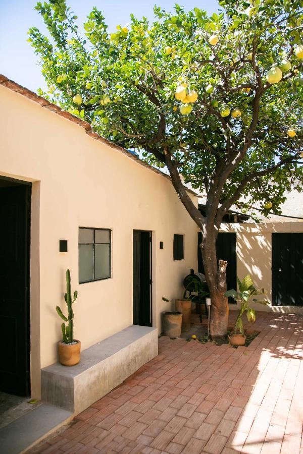509 Accommodation Oaxaca Exterior foto